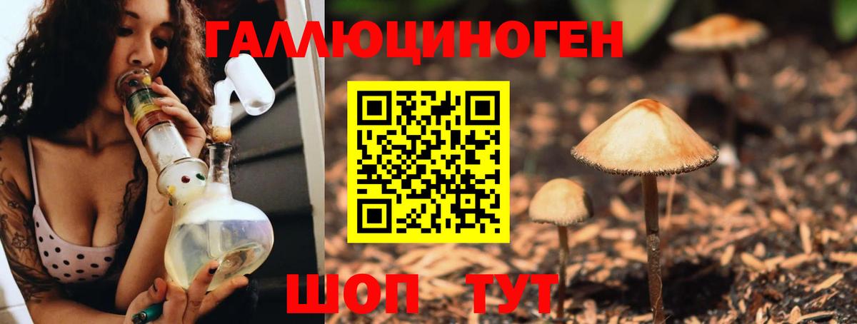 Черкесск  Галлюциногенные грибы Magic Shrooms  Вход с VPN 